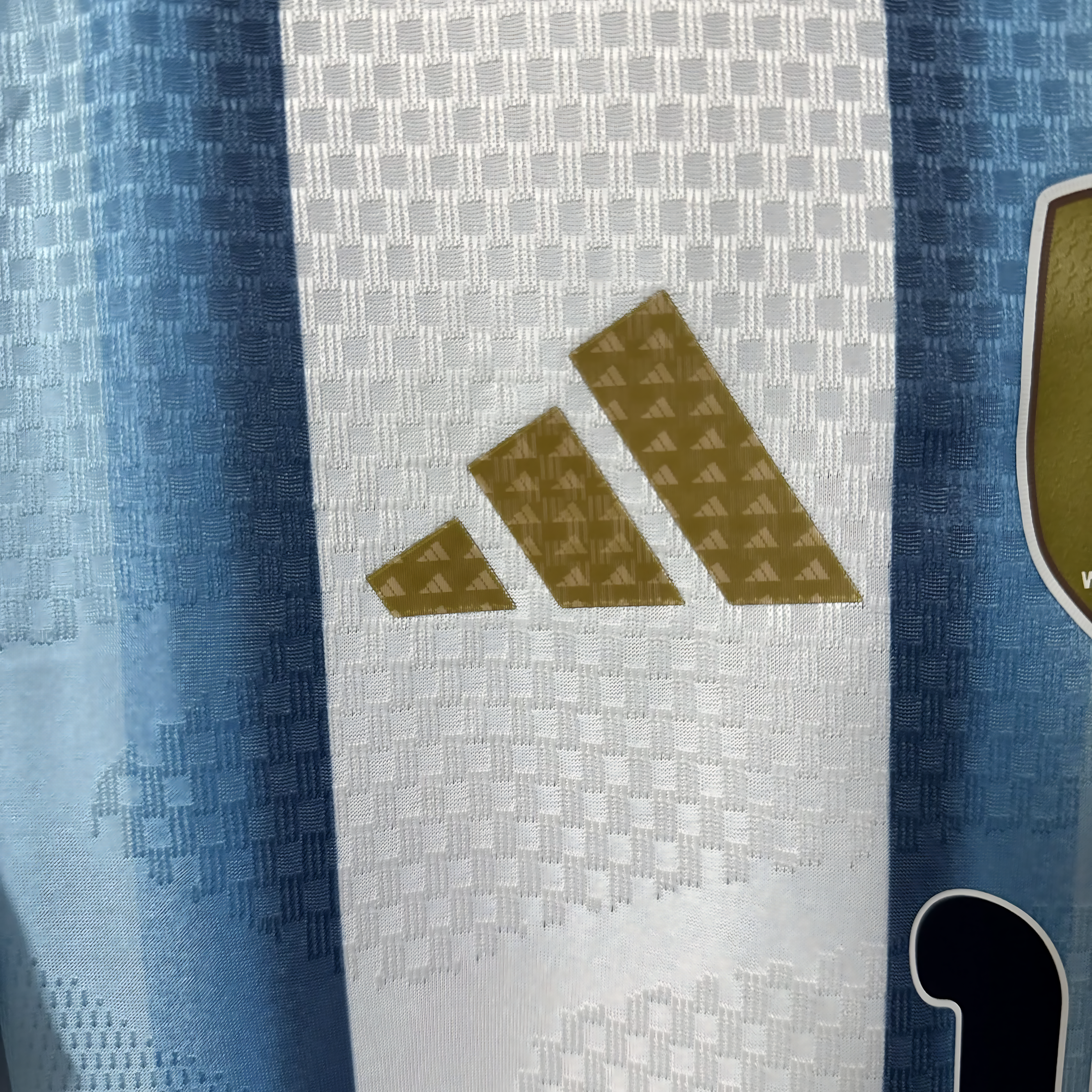 2026 FIFA World Cup Argentina National Team PlayerEdition Jersey Messi, No. 10