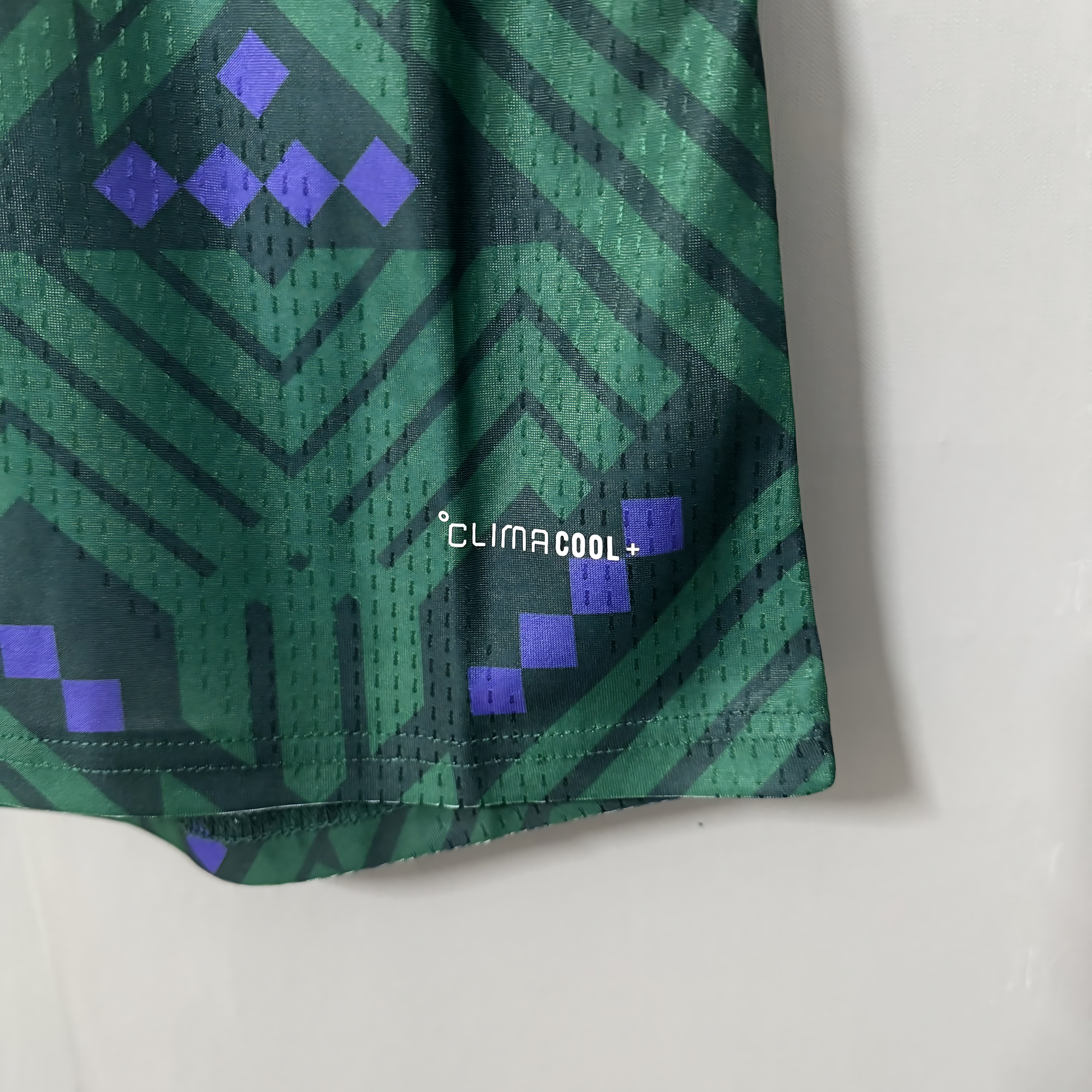 2026 FIFA World Cup Saudi Arabia National Team Home Player Edition Soccer Short Jersey