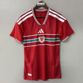 Wales Team 2026-27 Season Home Player Edition Jersey 2026 FIFA World Cup