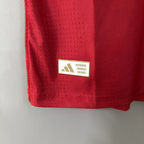Wales Team 2026-27 Season Home Player Edition Jersey 2026 FIFA World Cup