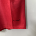 Wales Team 2026-27 Season Home Player Edition Jersey 2026 FIFA World Cup