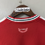 Wales Team 2026-27 Season Home Player Edition Jersey 2026 FIFA World Cup
