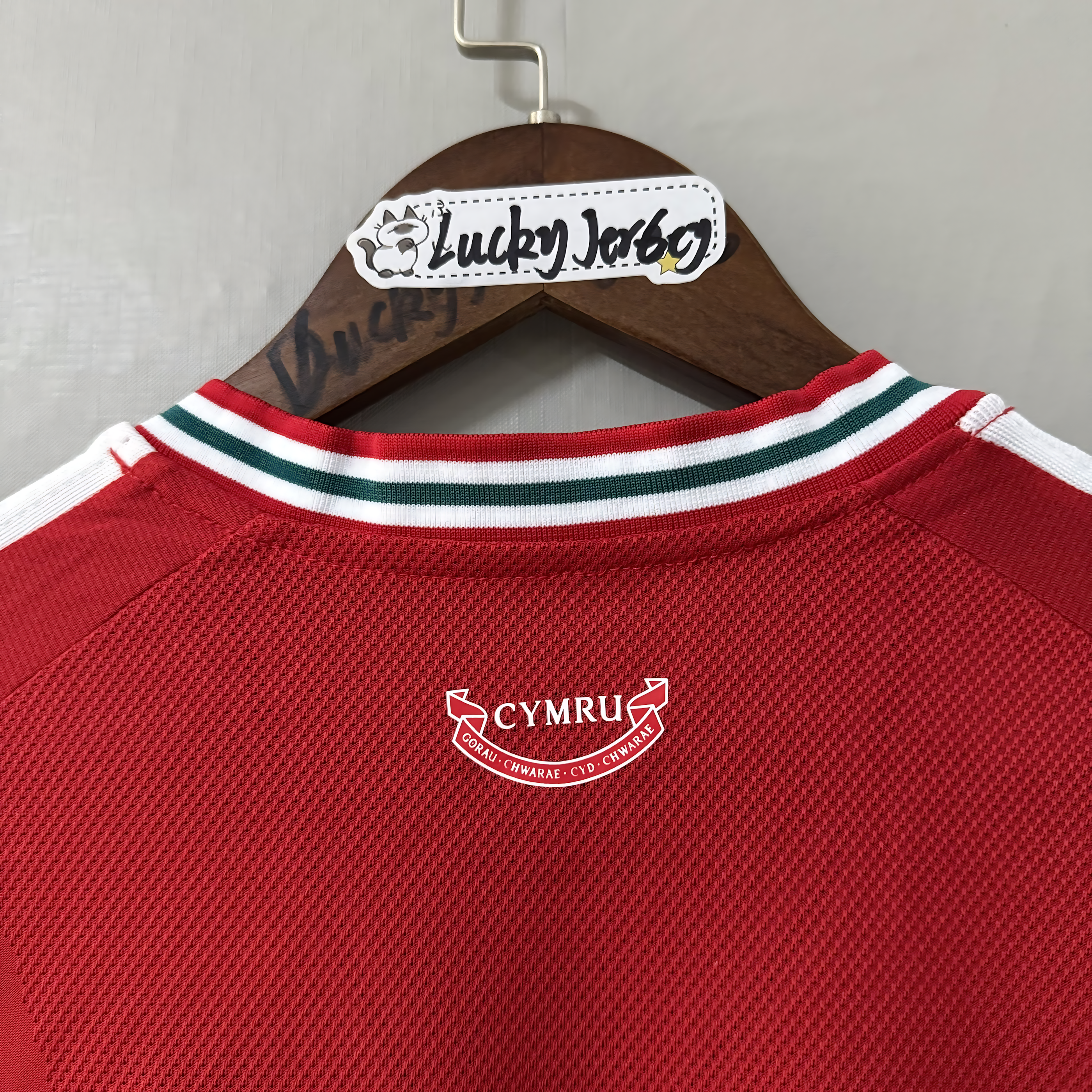 Wales Team 2026-27 Season Home Player Edition Jersey 2026 FIFA World Cup