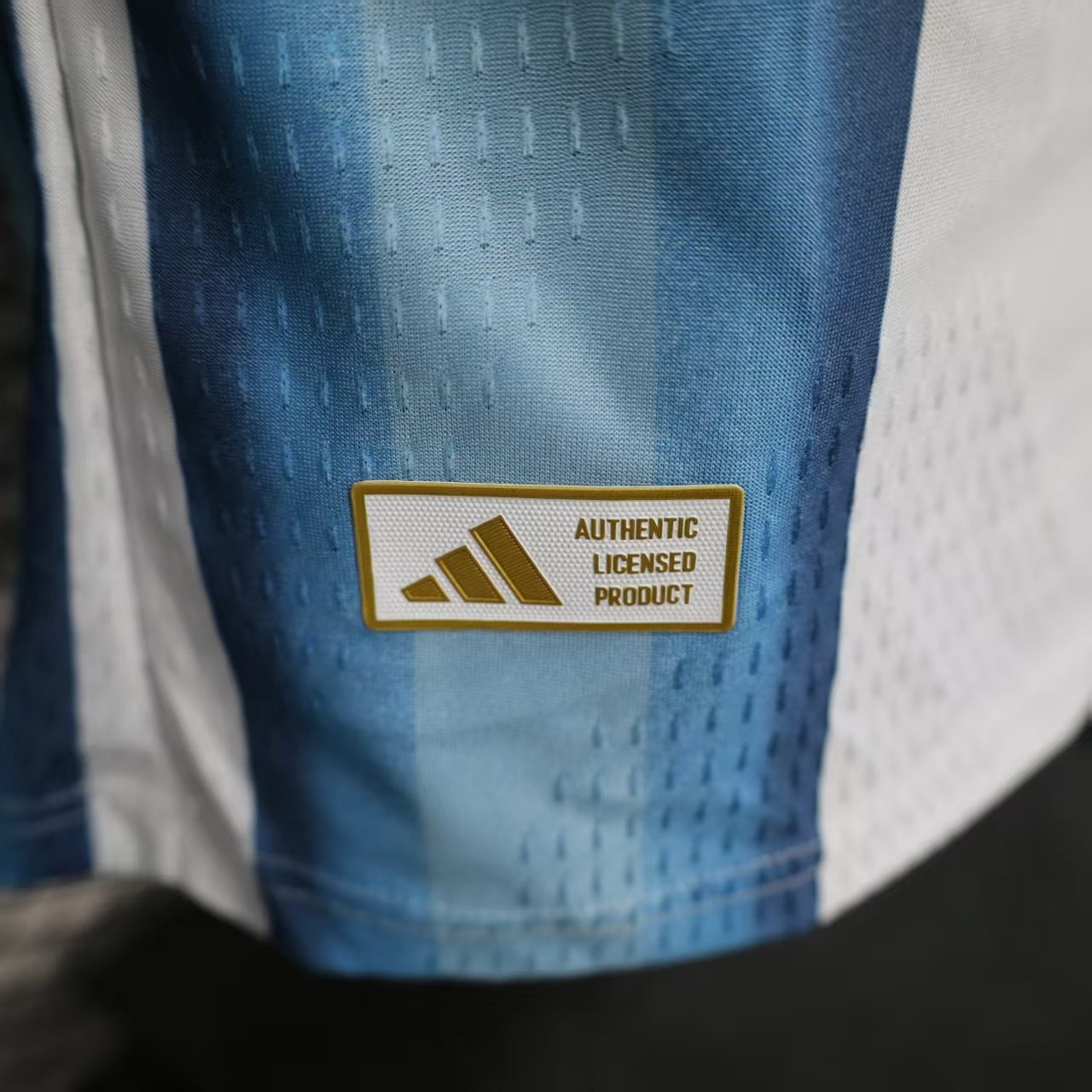 Argentina World Cup Home Player Version Jersey - Short Sleeve