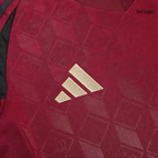2026 Belgium World Cup Home Football jersey Fan version