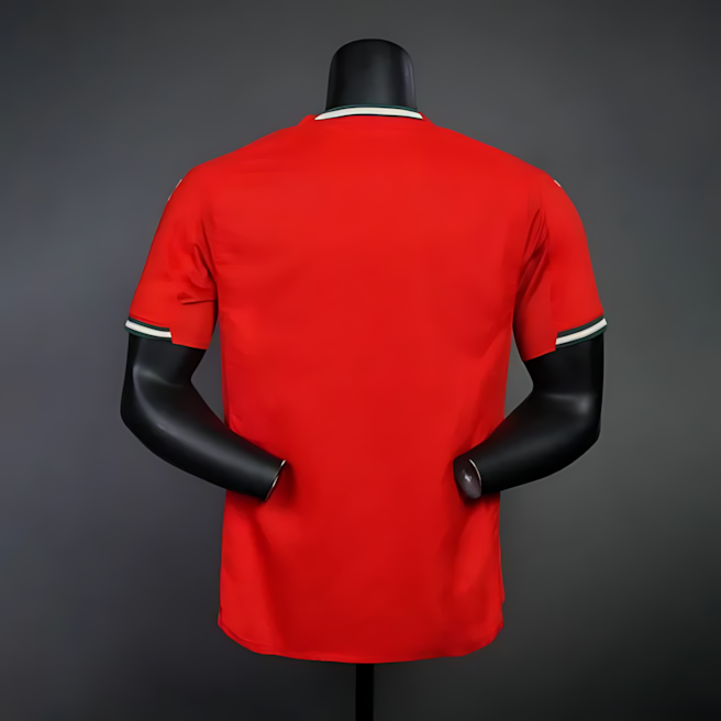Portugal 2010 Home Retro Football Jersey