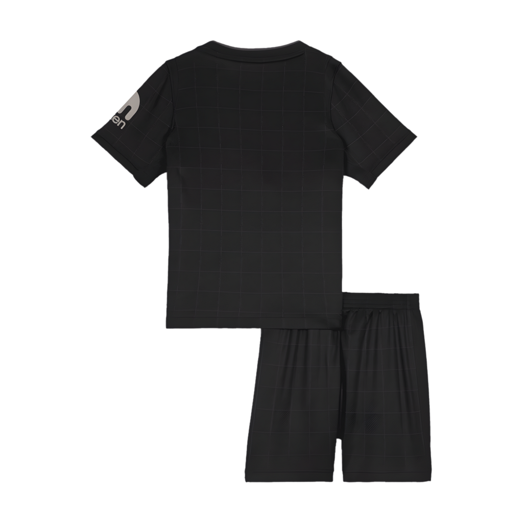 2025-26 Season Tottenham Hotspur Away Football Jersey Kit