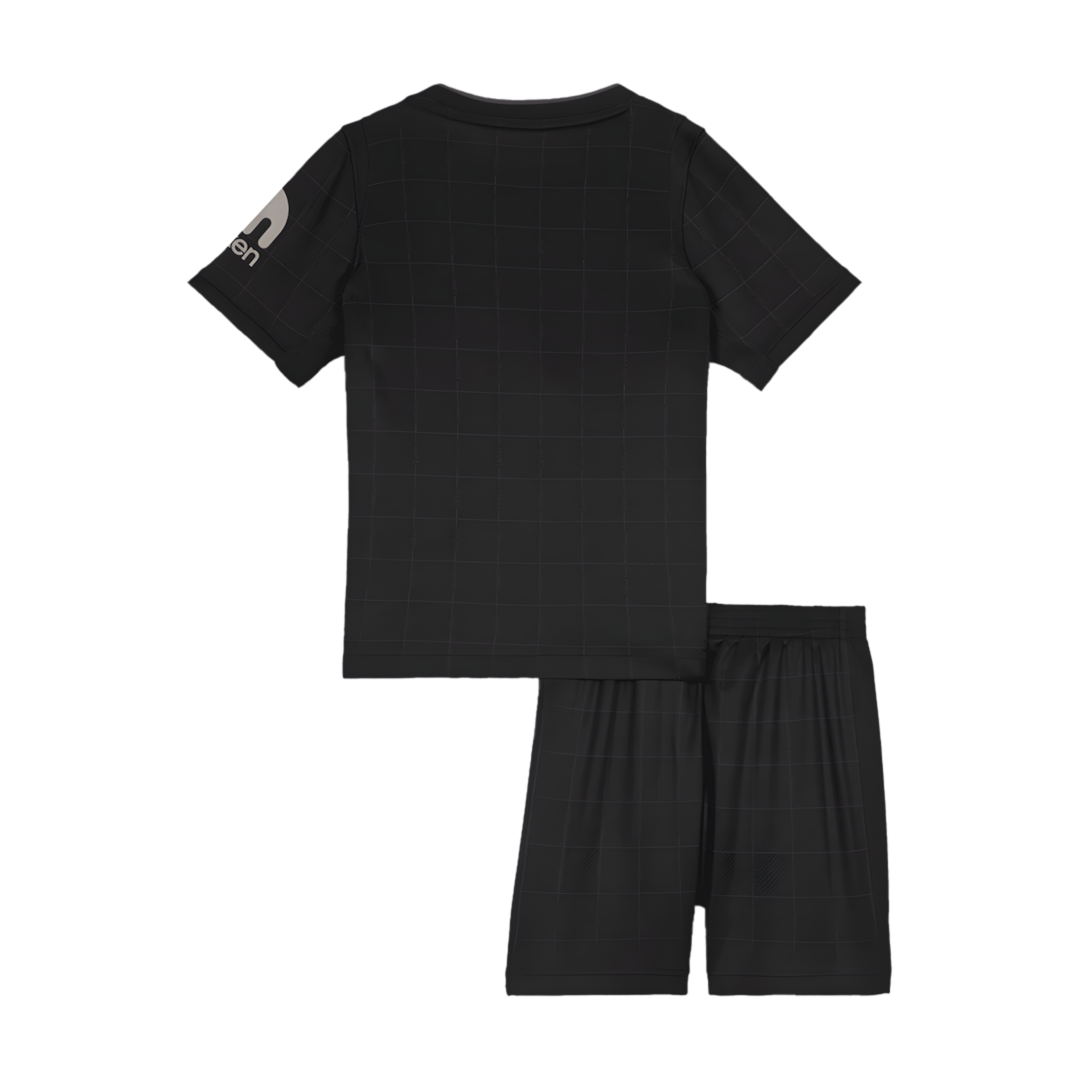 2025-26 Season Tottenham Hotspur Away Football Jersey Kit