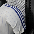2025-26 Season Chelsea Football Jersey Special Fan Edition
